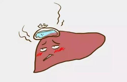 脂肪肝对人体危害有多大 脂肪肝对人体的危害有多大