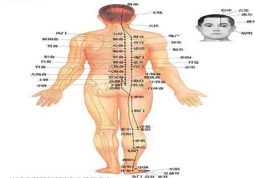 按摩膀胱经的好处 按摩膀胱经的危害
