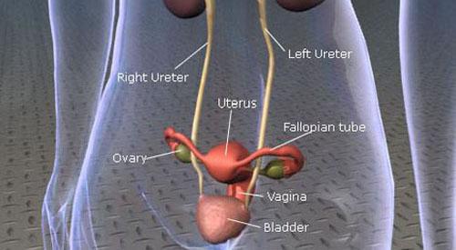 绒毛膜癌最常见的转移部位是（绒毛膜癌最常见的转移部位是哪里）