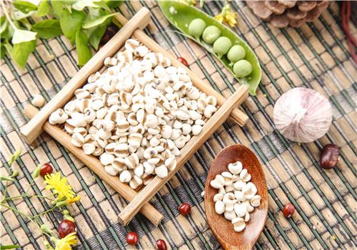 薏米过期了还能吃吗（薏米过期了可以吃吗）