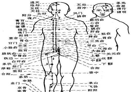 膀胱经不通的症状 足太阳膀胱经不通的症状