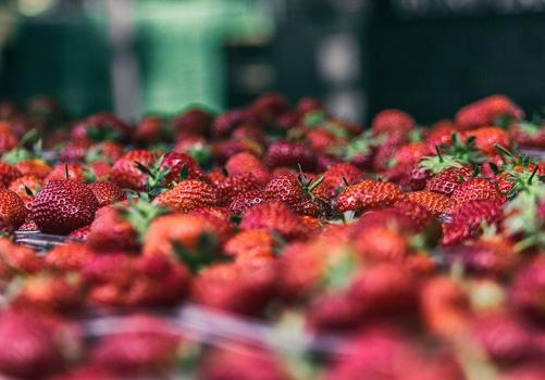 吃什么水果可以抗癌（吃什么水果可以抗癌作用）