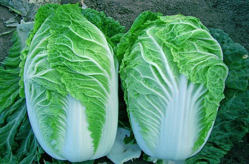 冬天便秘吃什么 冬天便秘吃什么水果