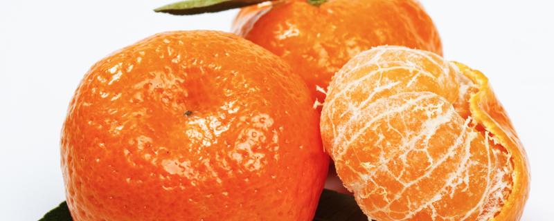 砂糖橘可以放冰箱里面吗（砂糖橘能放冰箱里吗）