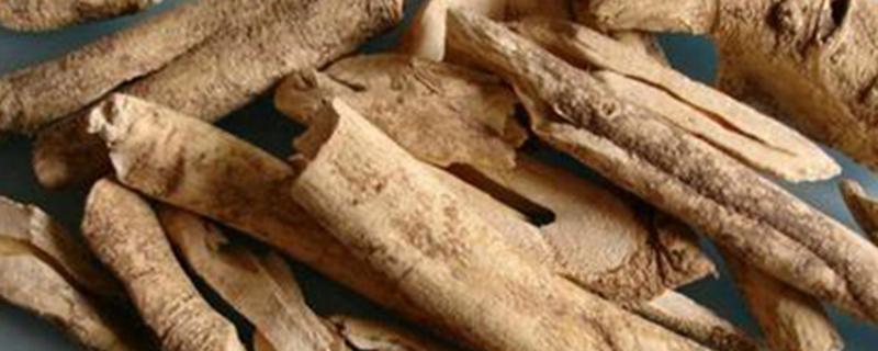 土槿皮酊的功效与作用（土槿皮酊的功效与作用小孩可用吗）