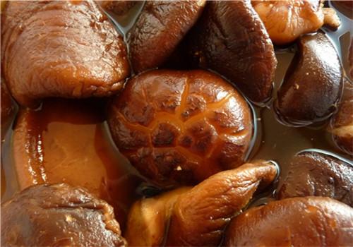 怎么煲蘑菇汤 怎么煲蘑菇汤好喝