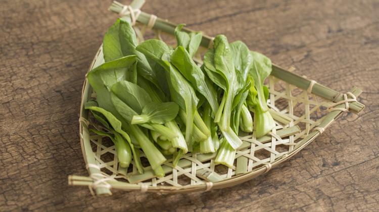 鸡毛菜的功效与作用及禁忌 鸡毛菜的功效与作用