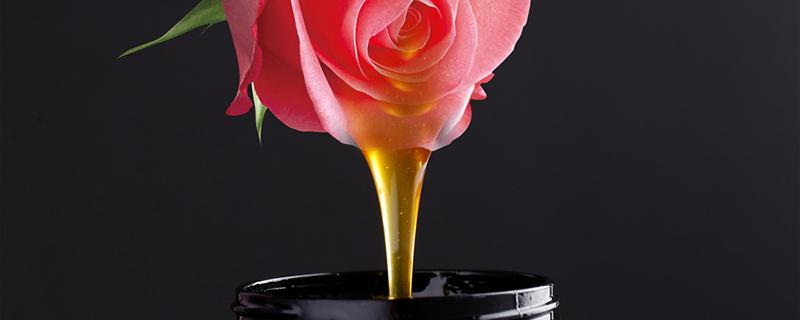 荆花蜂蜜的功效与作用 荆花蜂蜜的注意事项