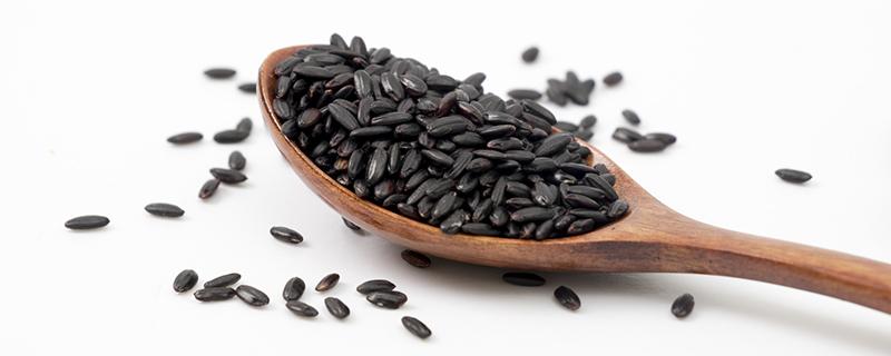 黑香米怎么吃比较好 黑香米怎样吃