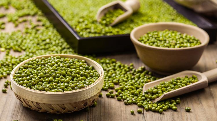 绿豆皮的功效与作用（绿豆皮的功效与作用是什么）