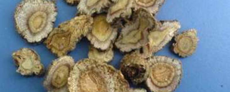 羌活独活的功效与作用(羌活独活的功效与作用异同)