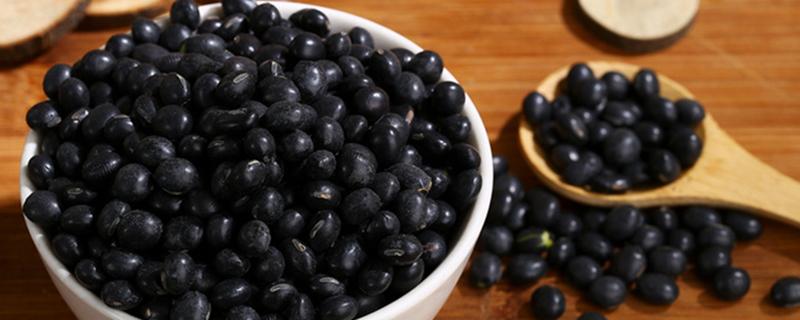 黑小豆的功效与作用 黑小豆的功效与作用及禁忌