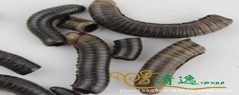 千足虫的功效与作用（千足虫药用功效）