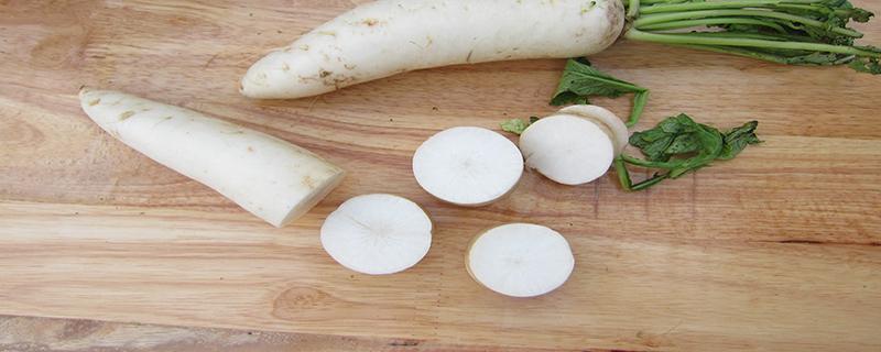 羊排萝卜汤的功效与作用及禁忌 羊排萝卜汤的功效与作用