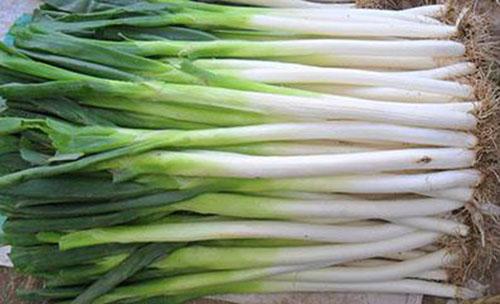 常吃葱的好处 多吃葱8大益处