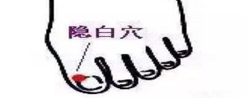 隐白的位置在哪里（隐白位于哪里）