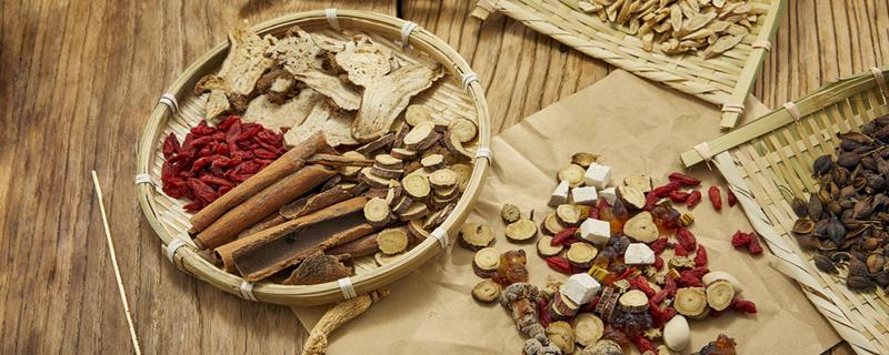 懈寄生的功效与作用（懈寄生的功效与作用图片）