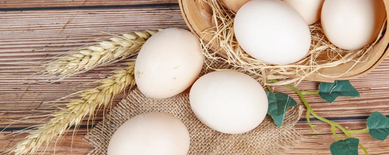 西红柿炒鸡蛋隔夜有毒吗（隔夜的番茄炒蛋有毒吗）