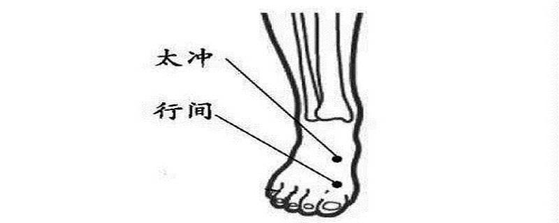 太冲行间准确位置图和作用 太冲准确位置图和作用的准确位置图