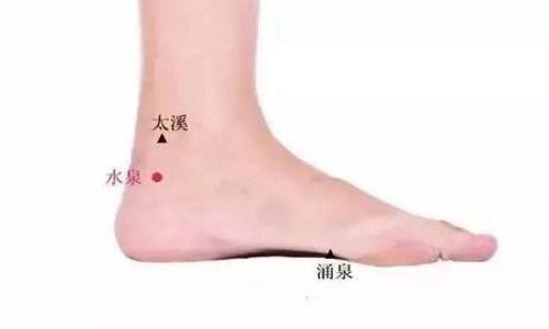 水泉的准确位置图片（水泉的准确位置图片1）