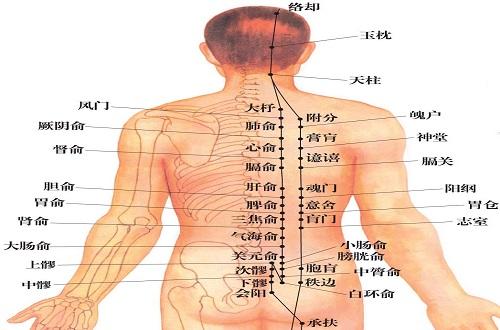 三焦俞疼痛怎么引起的 三焦俞疼怎么回事