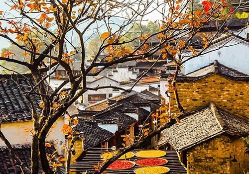 2017年重阳节是几月几日（2017年重阳节是几月几日农历）