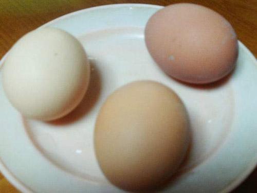吃白水煮蛋有什么好处 吃白煮蛋有什么好处