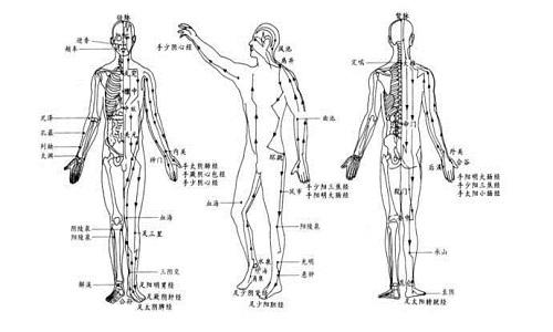 十二经络运行时间（十二经络运行时间表）