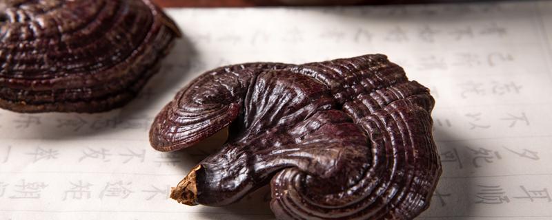 什么人不能喝灵芝汤 什么人不能喝灵芝汤的功效