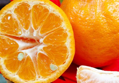 水果捞用什么奶做好吃 水果捞放什么奶好吃