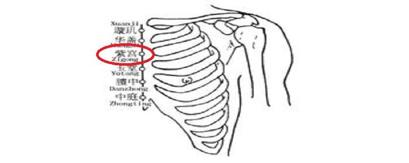 紫宫准确位置图 紫宫什么意思