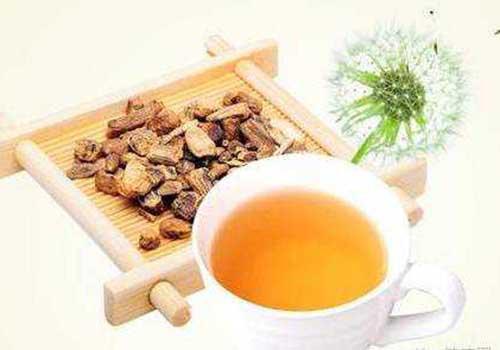 蒲公英茶能减肥吗（蒲公英泡茶减肥吗）