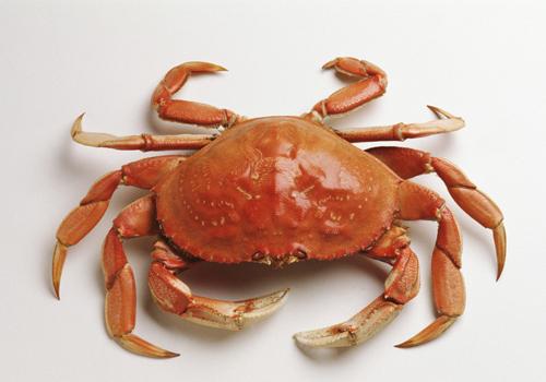 吃螃蟹会推迟月经吗 经常吃螃蟹会推迟月经吗