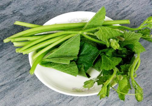 南瓜藤的功效与作用 南瓜藤怎么吃做好