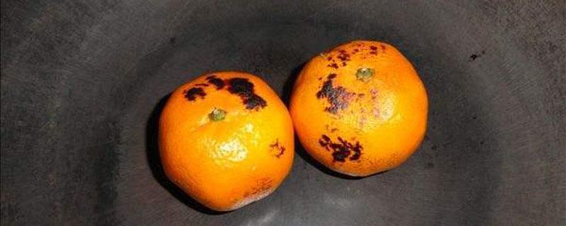橘子可以微波炉加热吗 烤橘子可以用微波炉吗