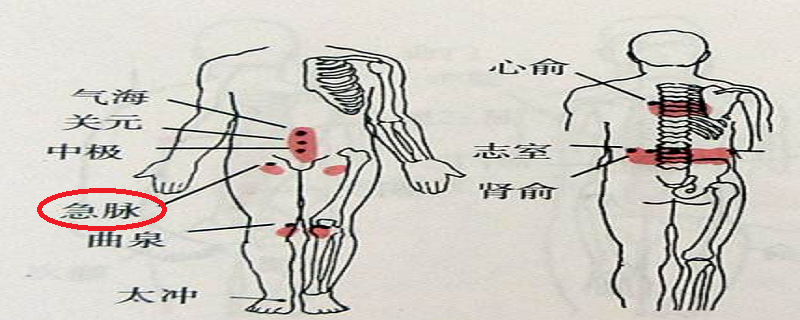 急脉的位置图片（急脉的准确位置图和作用的准确位置图片）