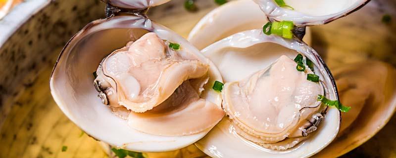 花甲肚子里面的屎怎么处理（花甲怎么去肚子里的屎）