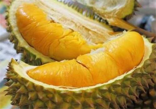 月经来了可以吃榴莲吗女生 月经来了可以吃榴莲吗