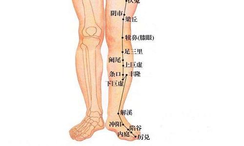 陷谷准确位置图和作用 陷谷准确位置图和作用及功效视频