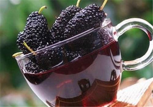 桑葚酒可以天天喝吗 对女人有什么好处