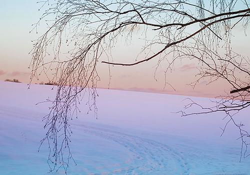 三九天艾灸有什么好处（三九天艾灸有什么好处和坏处）