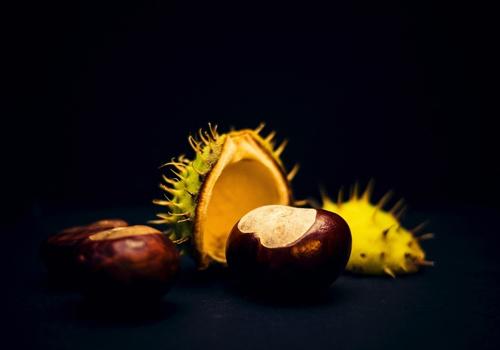 板栗发芽了还能吃吗 不要舍不得浪费