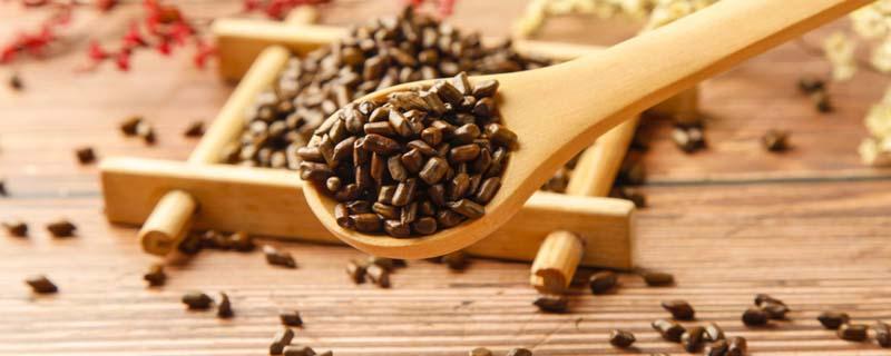 决明子泡水没颜色是怎么回事 决明子泡水没颜色是怎么回事?