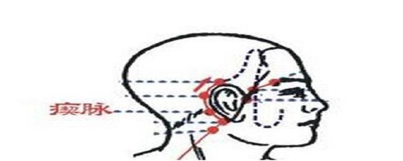 瘈脉的准确位置 瘈脉的准确位置和作用