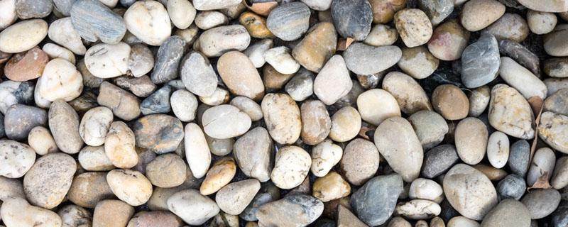 踩鹅卵石的功效与作用 踩鹅卵石的功效与作用图片