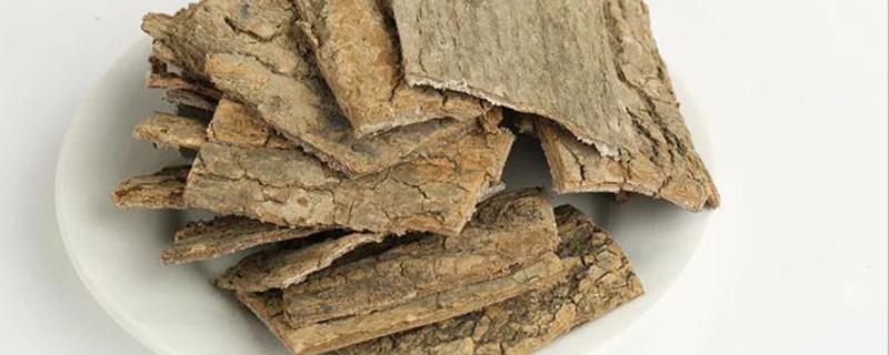 川仲的功效与作用（川仲的功效与作用是什么）