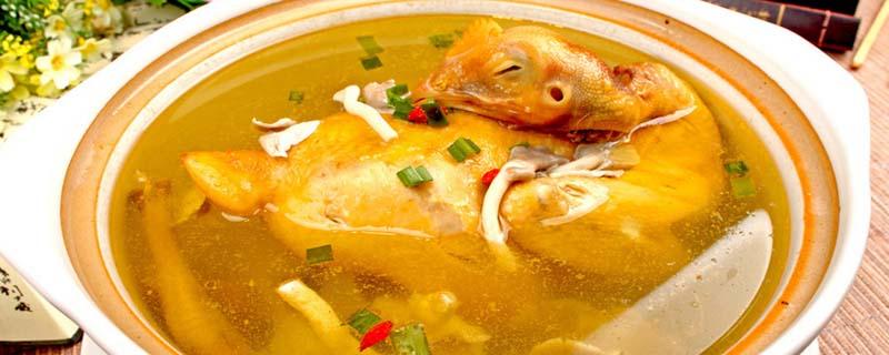 三七粉煲鸡汤的功效 三七粉煲鸡汤的功效与禁忌