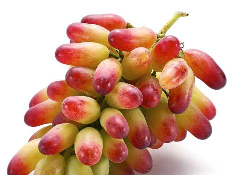 美人指的营养价值（美人指的功效和作用）