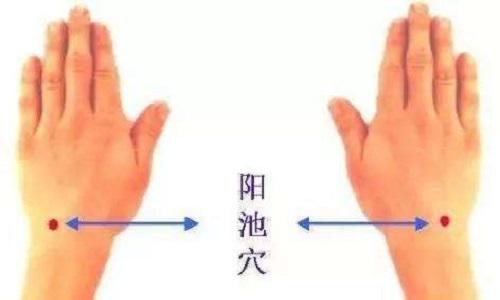 阳池准确图和作用（阳池位置图和作用）