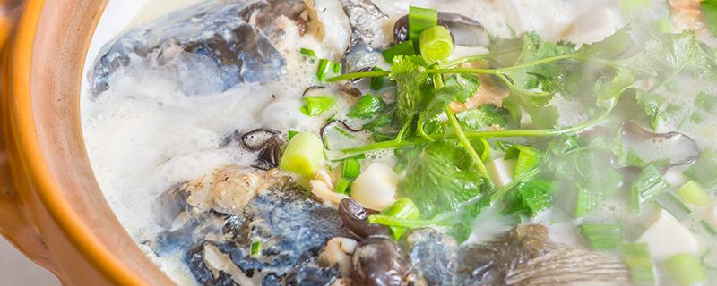 鱼头豆腐汤冷水还是热水（鱼头豆腐汤冷水还是热水下锅）